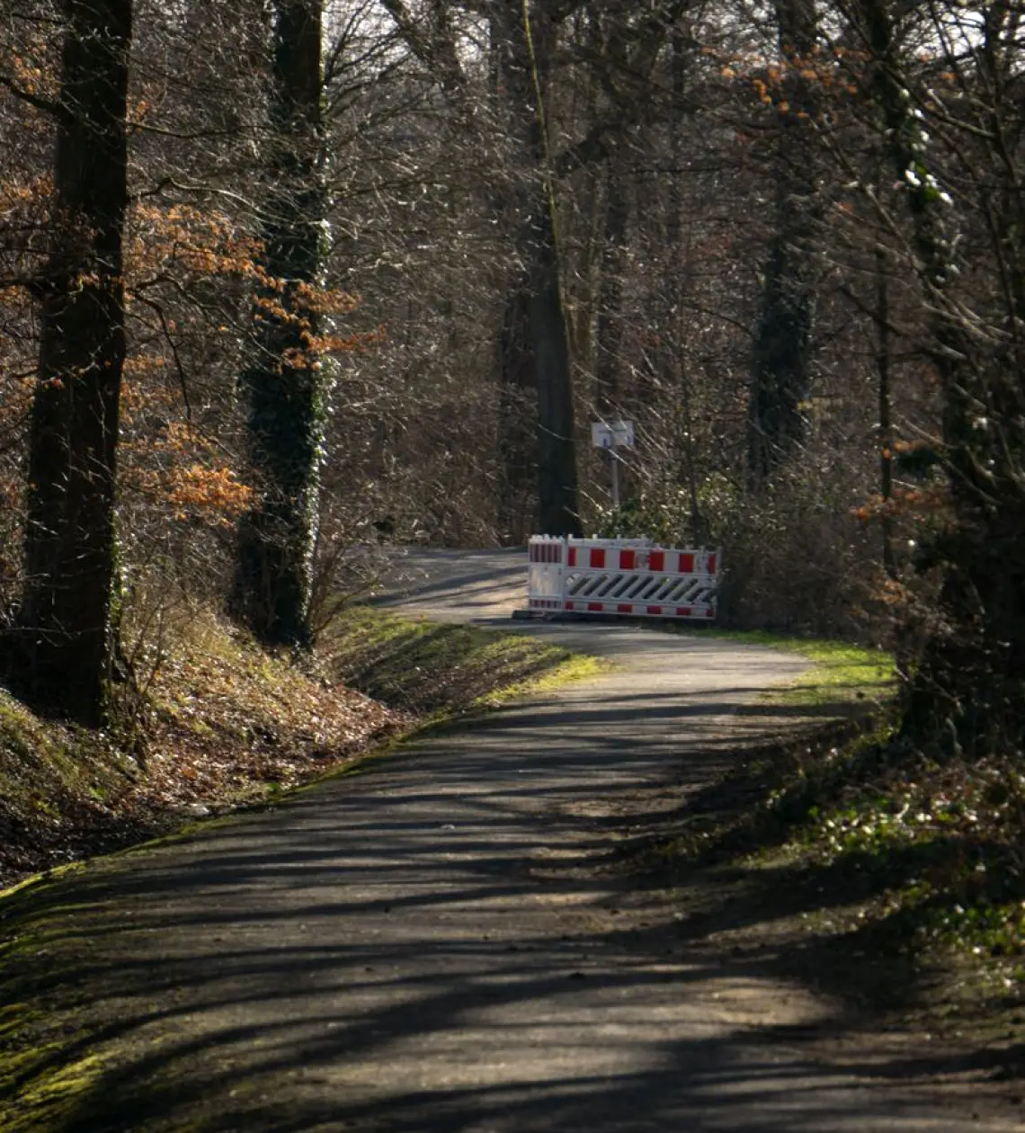 Herbst im Strassenbau: Was Gemeinden jetzt für Ausschreibungen vorbereiten