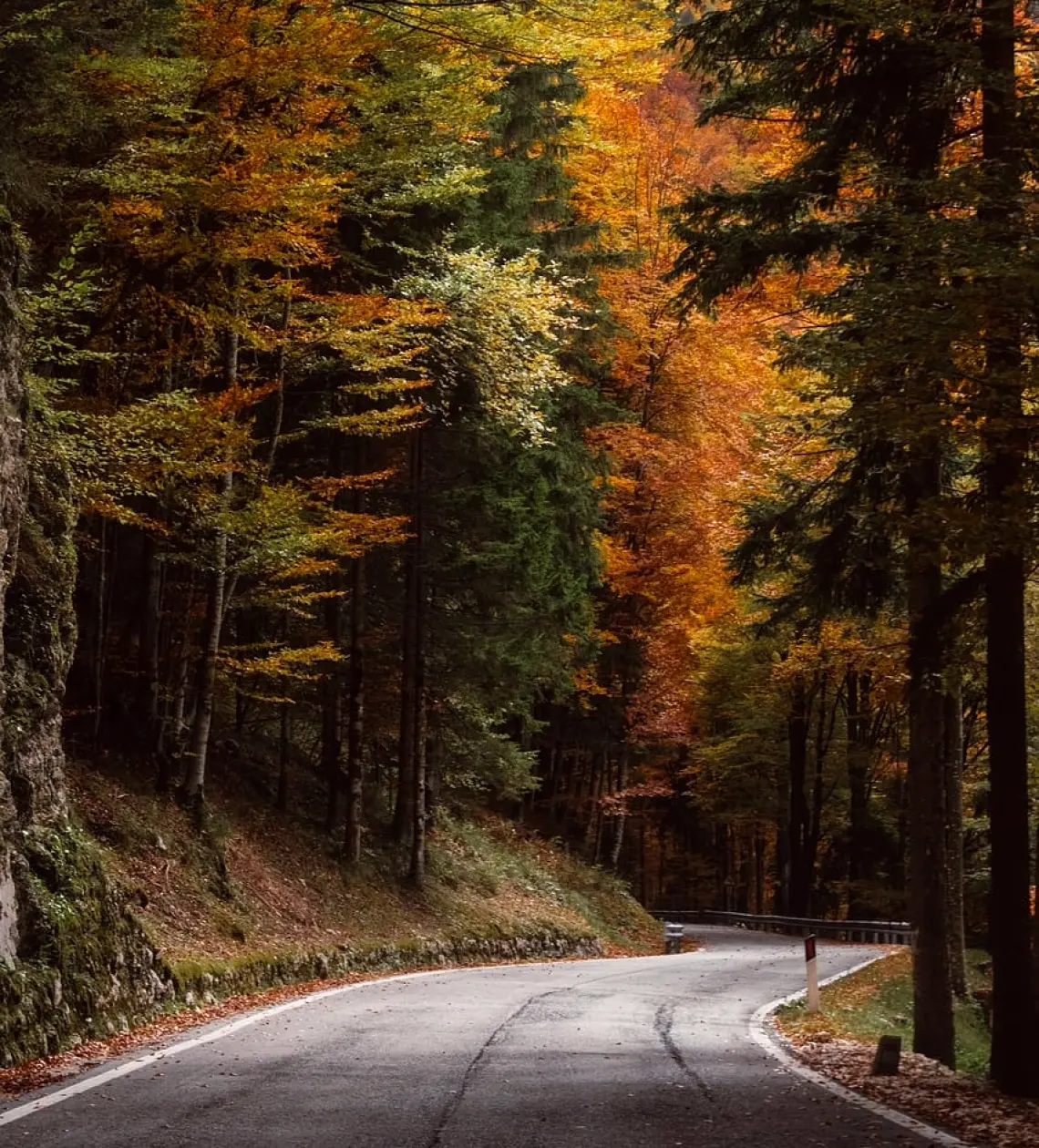 Ausschreibungen im Herbst: Worauf Werkstätten und Strassenbau jetzt achten